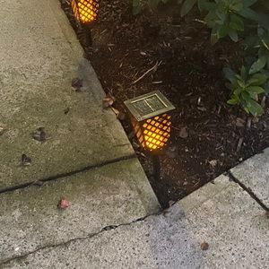 Solar Lights